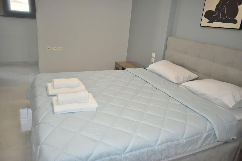 Modern Luxury Suite Karditsa Exterior photo