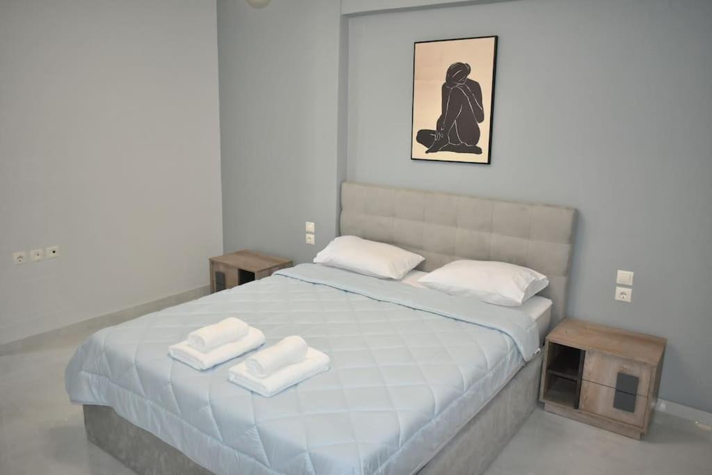 Modern Luxury Suite Karditsa Exterior photo
