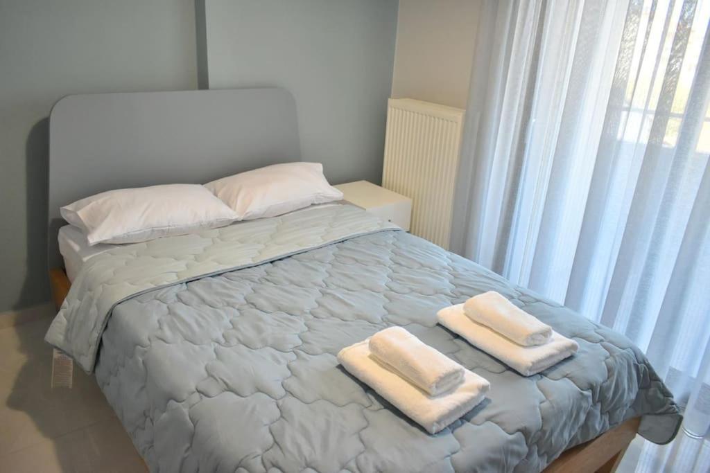 Modern Luxury Suite Karditsa Exterior photo